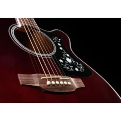 Takamine GN75CEWR
