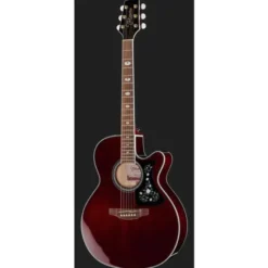 Takamine GN75CEWR