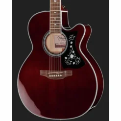 Takamine GN75CEWR