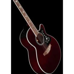 Takamine GN75CEWR
