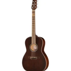 Takamine GY21E SM