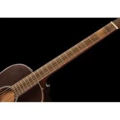 Takamine GY21E SM