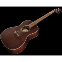 Takamine GY21E SM
