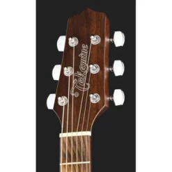 Takamine GY21E SM