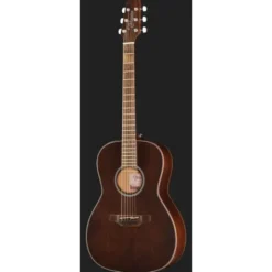 Takamine GY21E SM