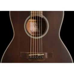 Takamine GY21E SM