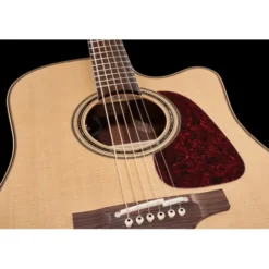 Takamine P5DC w/Softcase