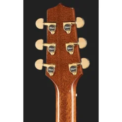 Takamine P5DC w/Softcase