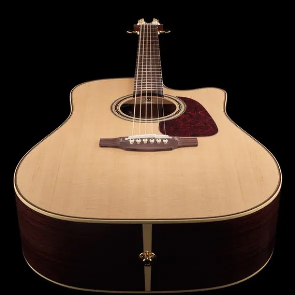 Takamine P5DC w/Softcase