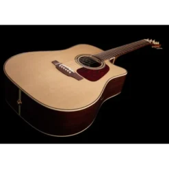 Takamine P5DC w/Softcase