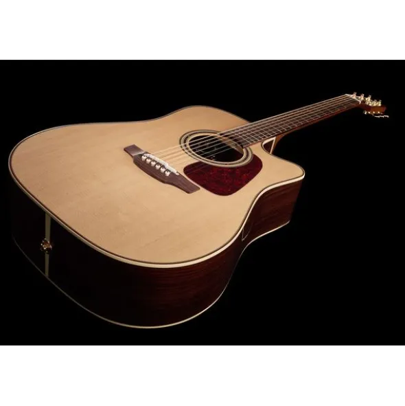 Takamine P5DC w/Softcase