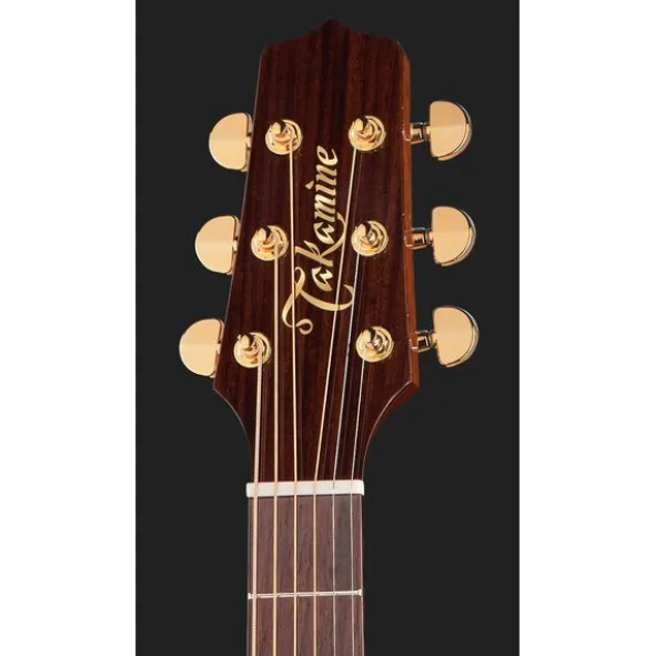 Takamine P5DC w/Softcase