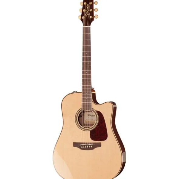 Takamine P5DC w/Softcase