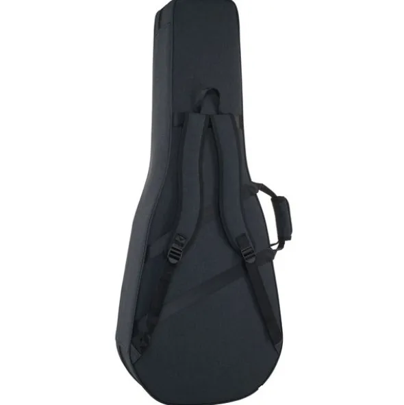 Takamine P5DC w/Softcase