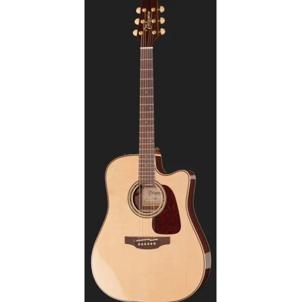 Takamine P5DC w/Softcase