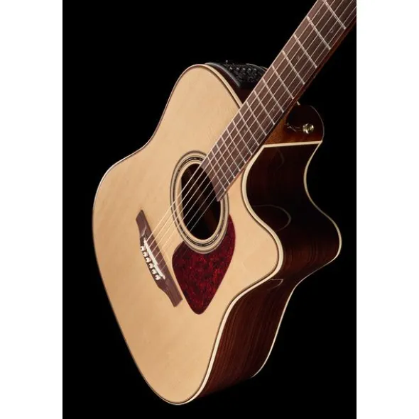 Takamine P5DC w/Softcase
