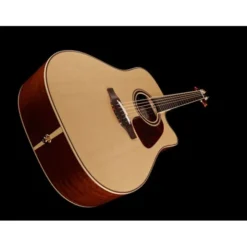 Takamine P4DC w/Softcase