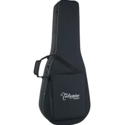 Takamine P4DC w/Softcase