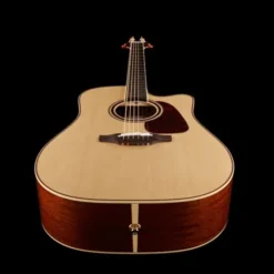 Takamine P4DC w/Softcase