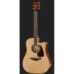 Takamine P4DC w/Softcase