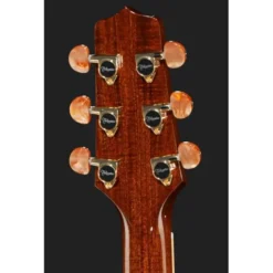 Takamine P4DC w/Softcase