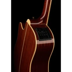 Takamine P4DC w/Softcase