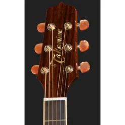Takamine P4DC w/Softcase
