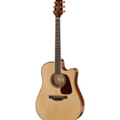 Takamine P4DC w/Softcase