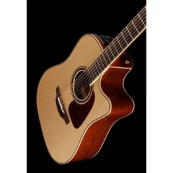 Takamine P4DC w/Softcase
