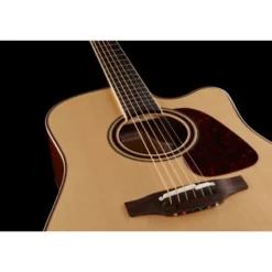 Takamine P4DC w/Softcase