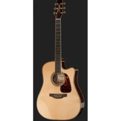 Takamine P7DC w/Softcase