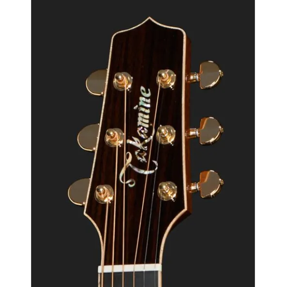 Takamine P7DC w/Softcase