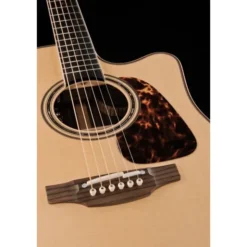 Takamine P7DC w/Softcase