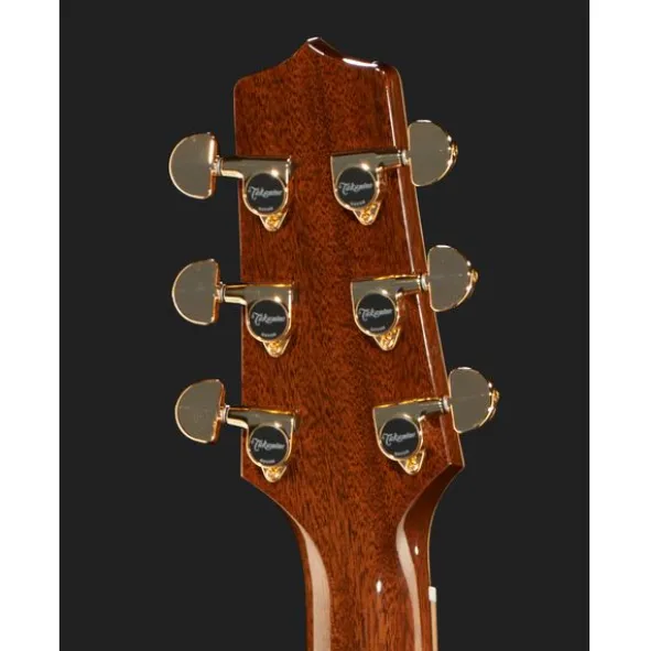 Takamine P7DC w/Softcase