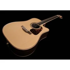 Takamine P7DC w/Softcase