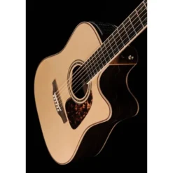Takamine P7DC w/Softcase