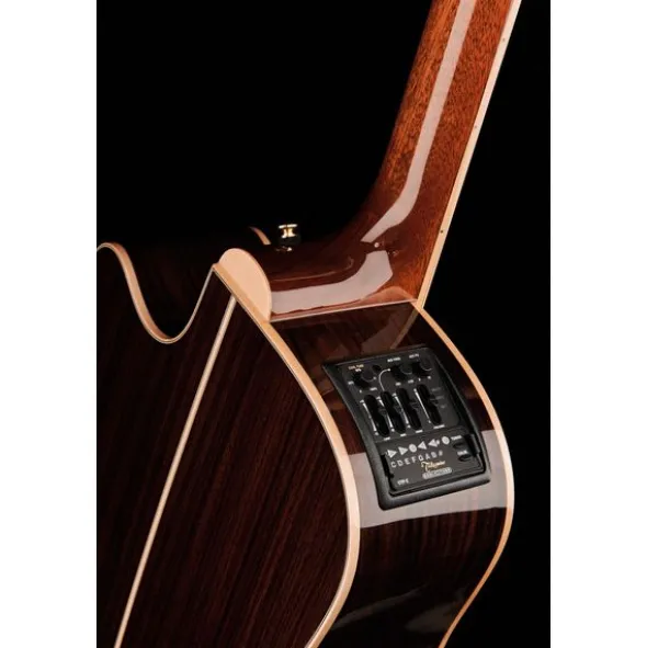 Takamine P7DC w/Softcase