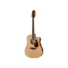 Takamine P4DC w/Softcase B-Stock
