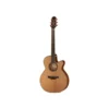 Takamine P3NC Pro Serie w/Softc B-Stock