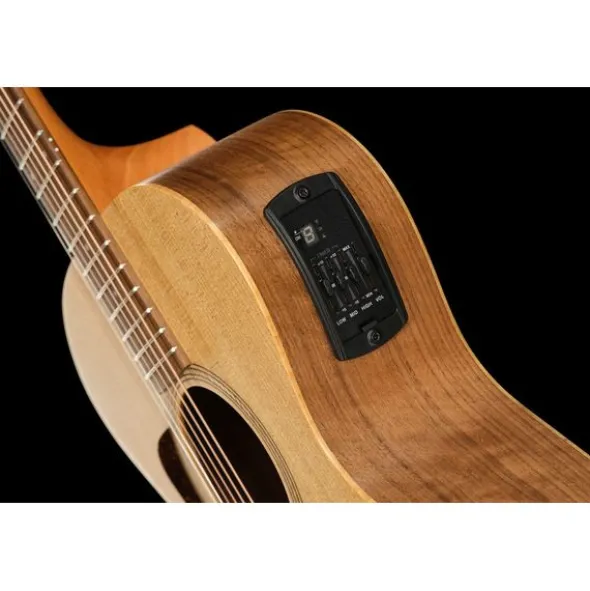 Taylor Academy 12e LH Wal/Euca