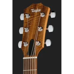 Taylor Academy 12e LH Wal/Euca