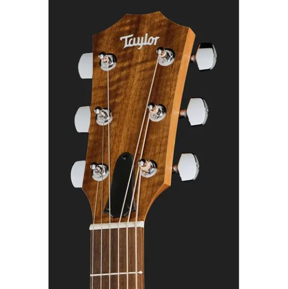 Taylor Academy 12e LH Wal/Euca