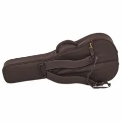 Taylor Aero Case GS Mini