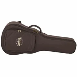 Taylor Aero Case GS Mini