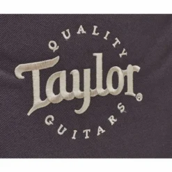 Taylor Aero Case GS Mini