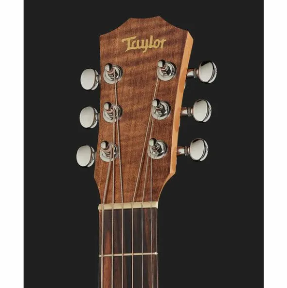 Taylor Baby Mahogany BT2
