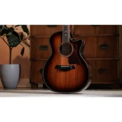 Taylor Builder’s Ed. 814ce Sinker