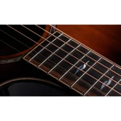 Taylor Builder’s Ed. 814ce Sinker