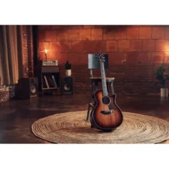 Taylor Builder’s Ed. 814ce Sinker