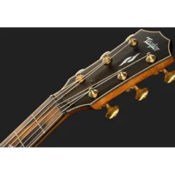 Taylor Builder's Edition 814ce LTD Ma